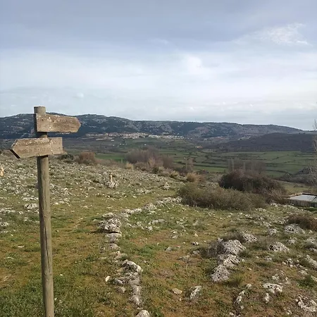 Xenia *